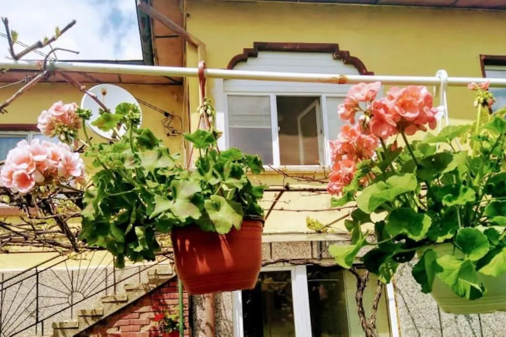 Lovely Studio In Dragoman With Garden And Garage 0*,
